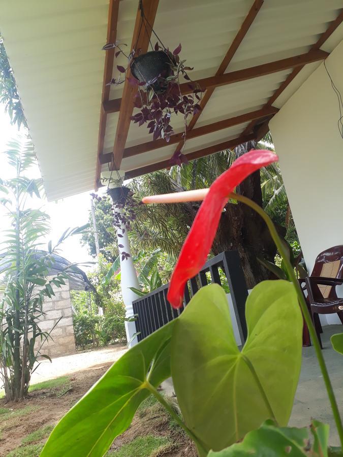 Akila Holiday Resort Habarana Extérieur photo